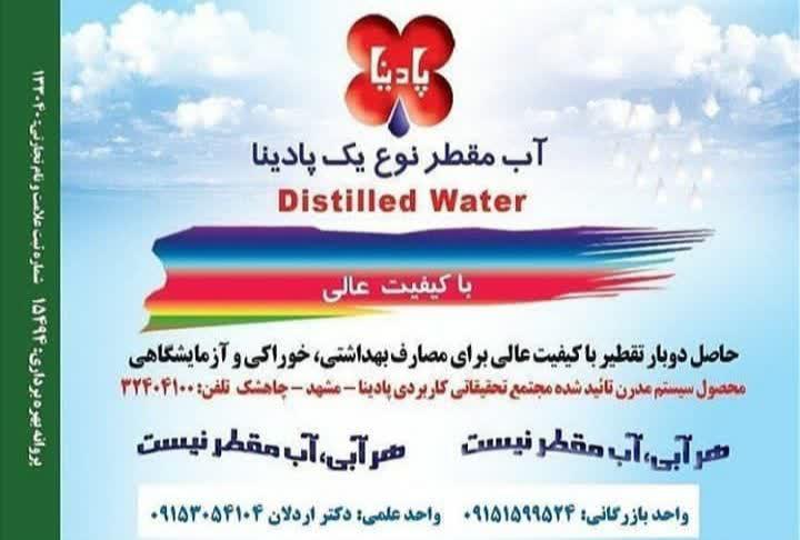 شرکت پادینا